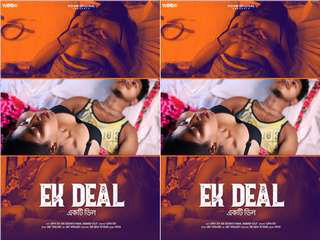 Today Exclusive-Ek Deal
